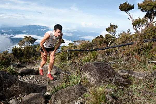 Kilian jornet en trail running